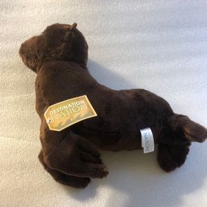 Destination Nation Sea Lion